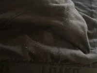 eelibees's webcam live show