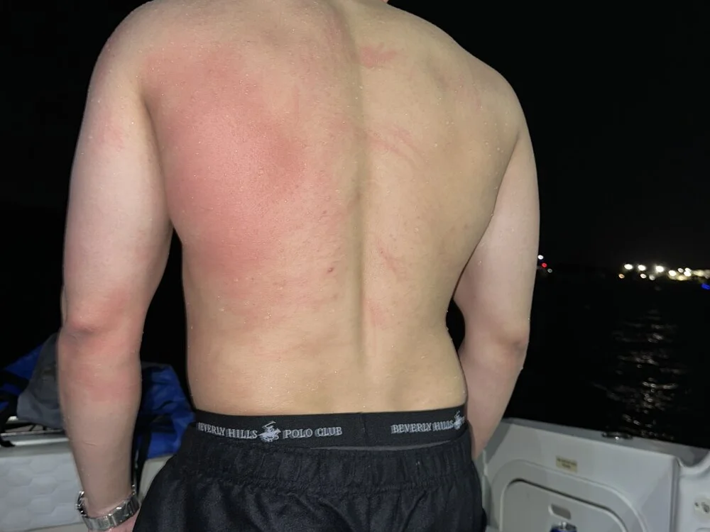 Freiaflowerss Offline XXX Chat