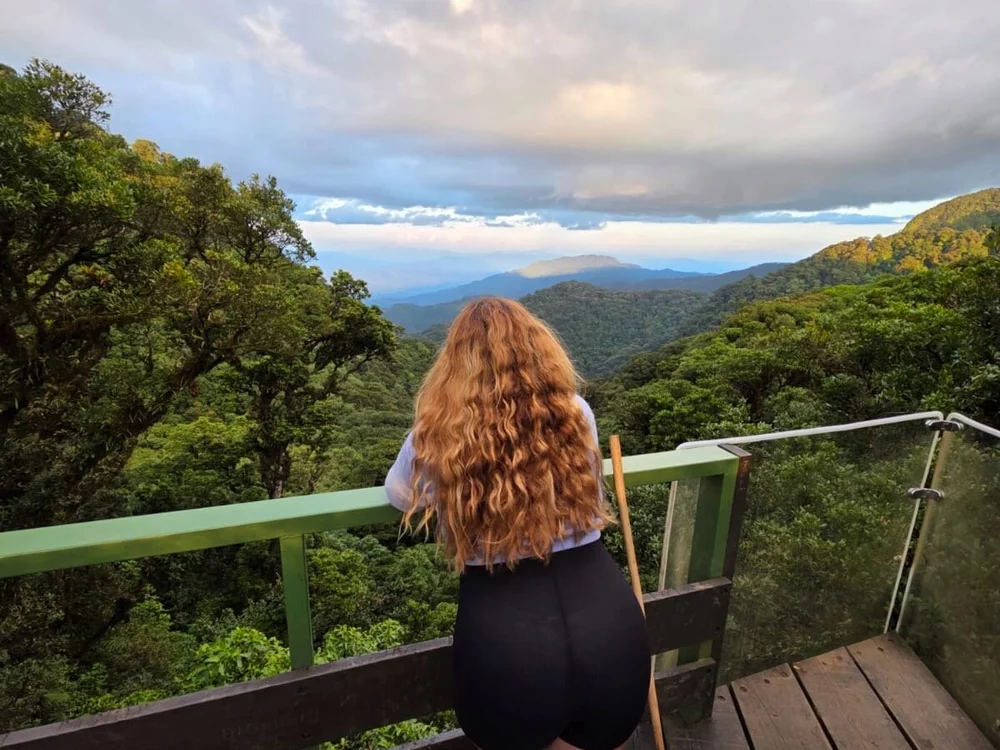 burbuja1820 offline chatrum