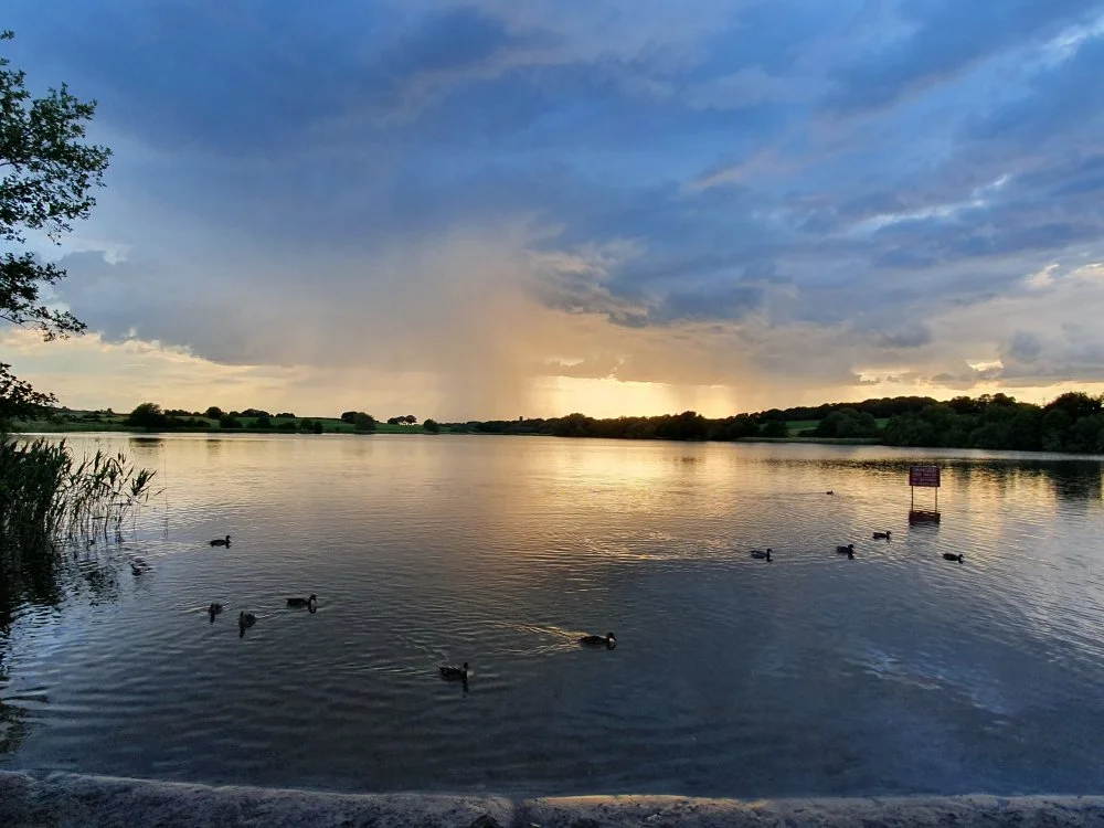 Biscotti69 Chat XXX Ngoại tuyến