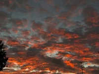 Marcosedouglas webcam