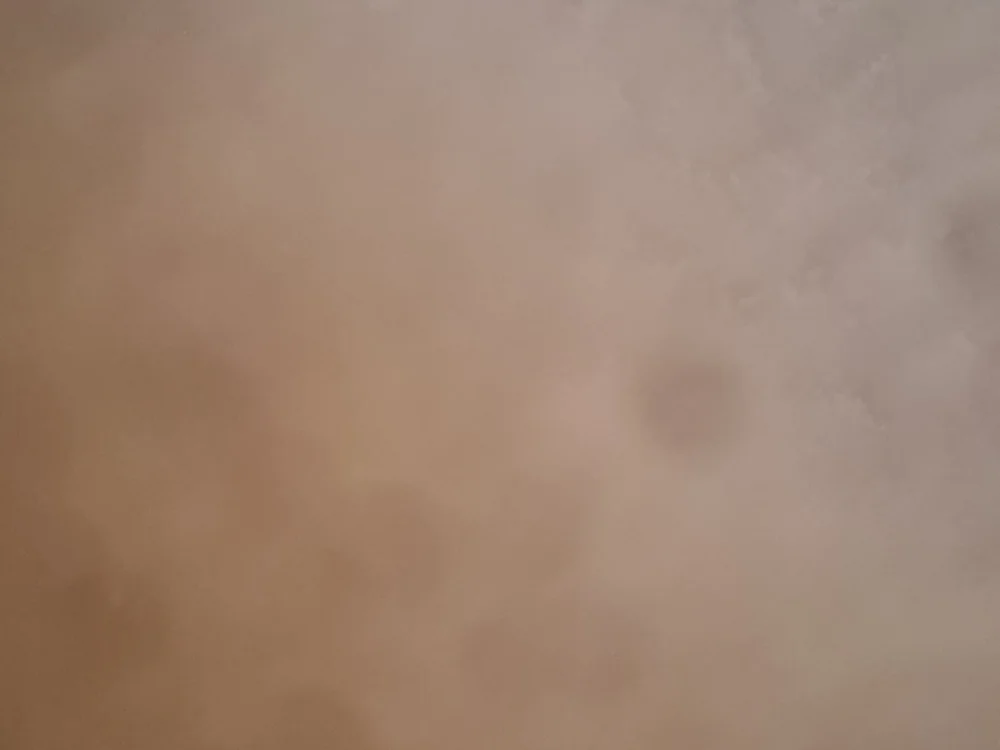 melloyellowvio offline chatrum