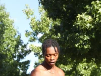 Модель the666D