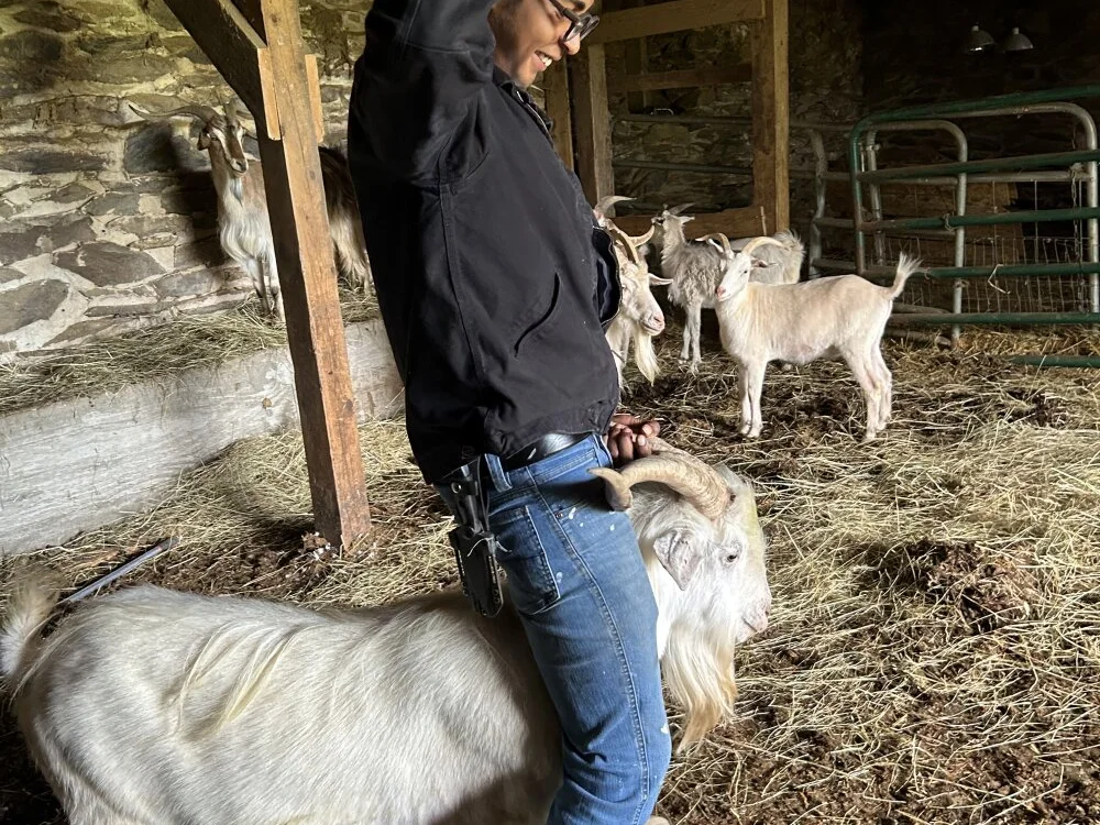 salviibbc: офлайн-секс-чат