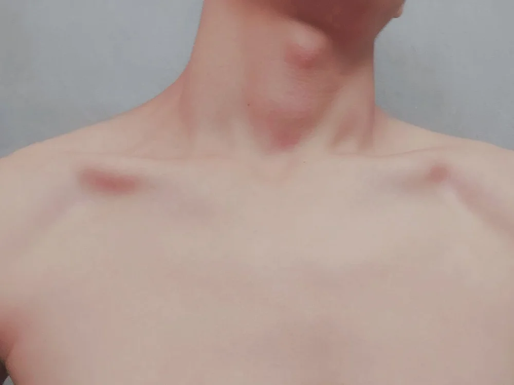 boxbox_ 离线聊天室