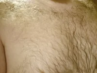 Модель Daviden78