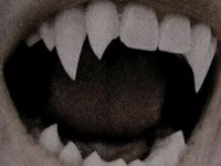 Demi-Gawd's webcam live show