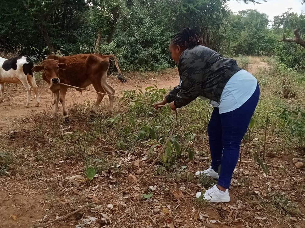 africanqueen123's most recent online preview