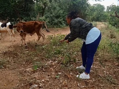 africanqueen123 预览图
