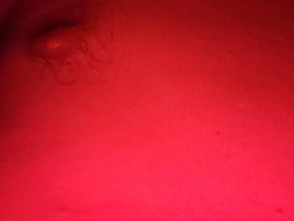 Riccardo9n Offline XXX chat