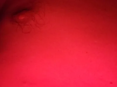 Riccardo9 Male Men Cam Porn