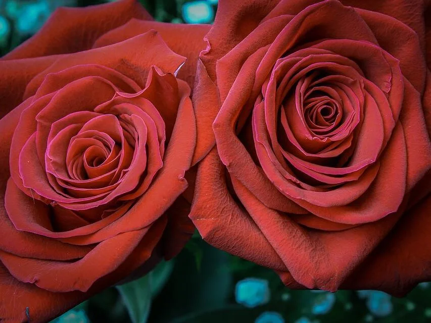 Aby_Lov3's Offline XXX Chat