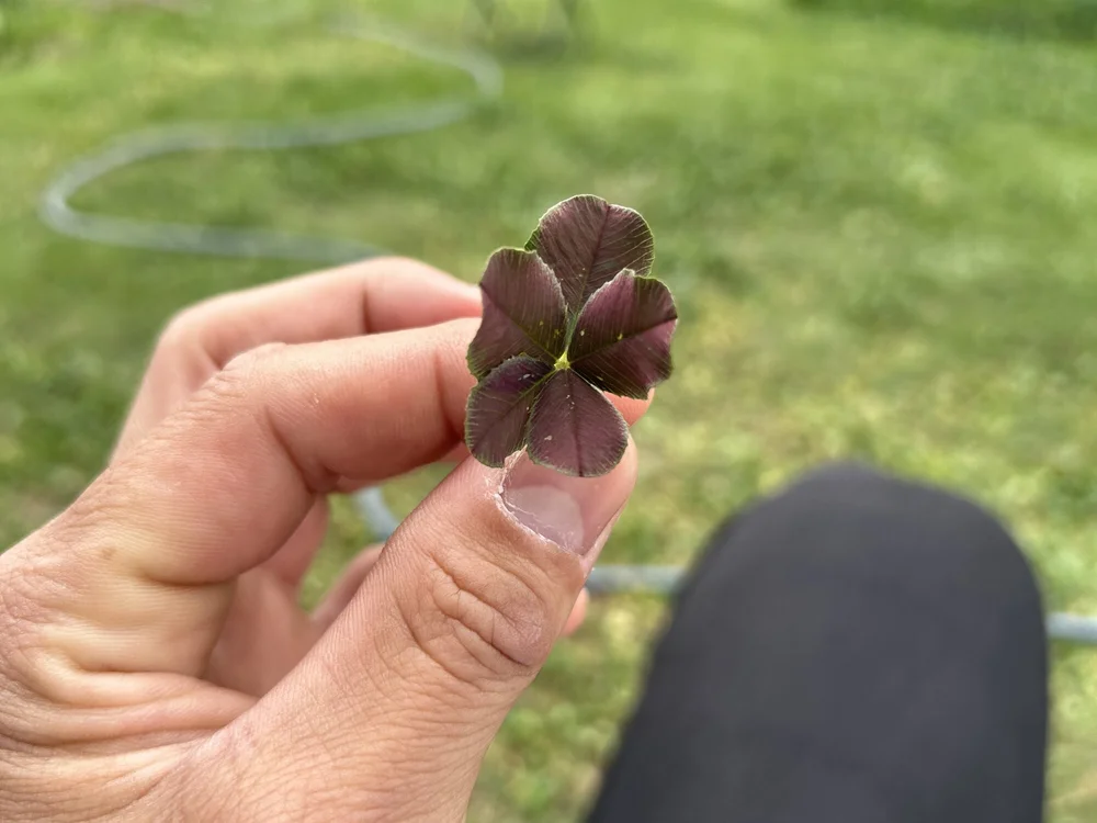 matubazue 离线XXX聊天