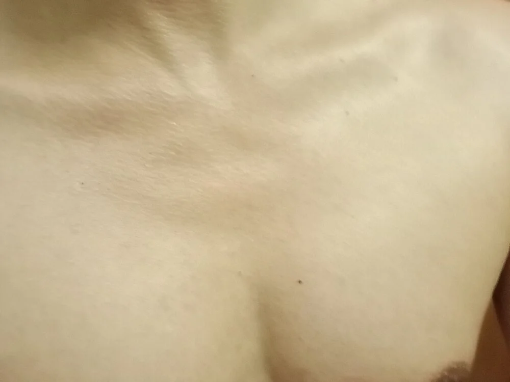 แชท XXX ออฟไลน์ของ Domanismettoo