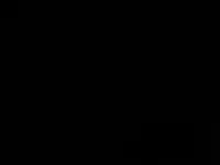 tgehzg