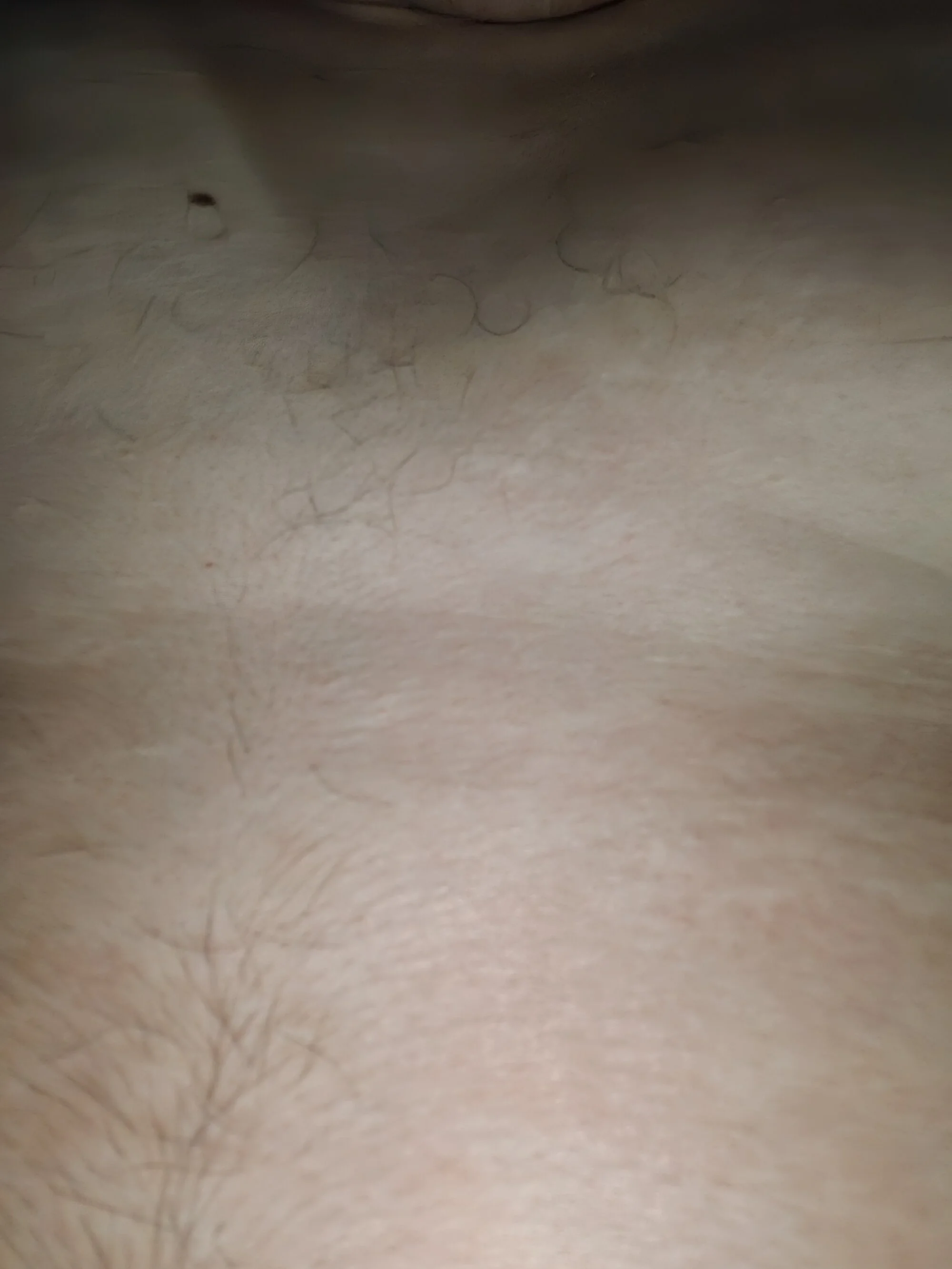 Denys_denys