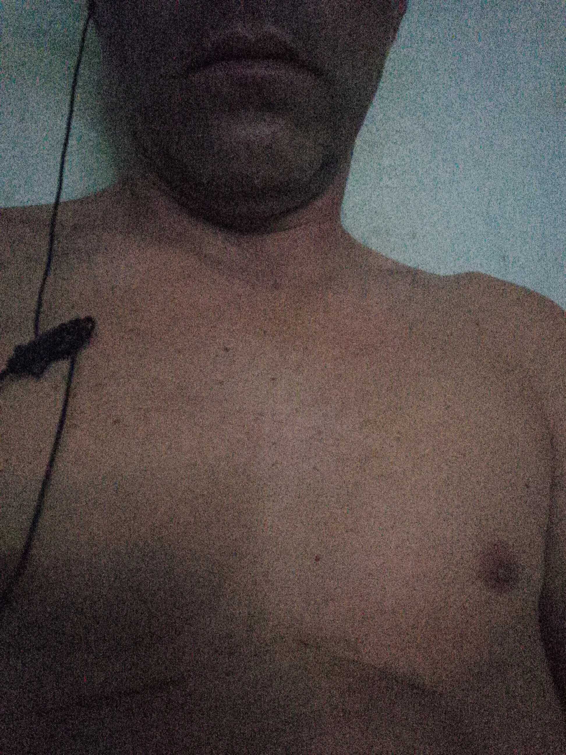 Paulogsc