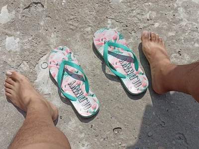 GordoChancludoSLP profile