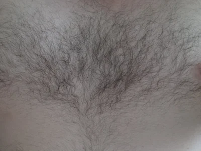 PigSlut- - Boy 