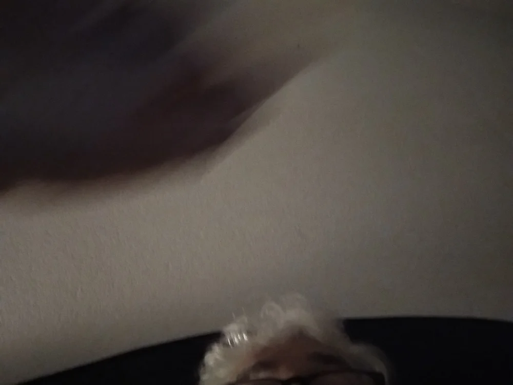 petar60 live cam model on stripchat