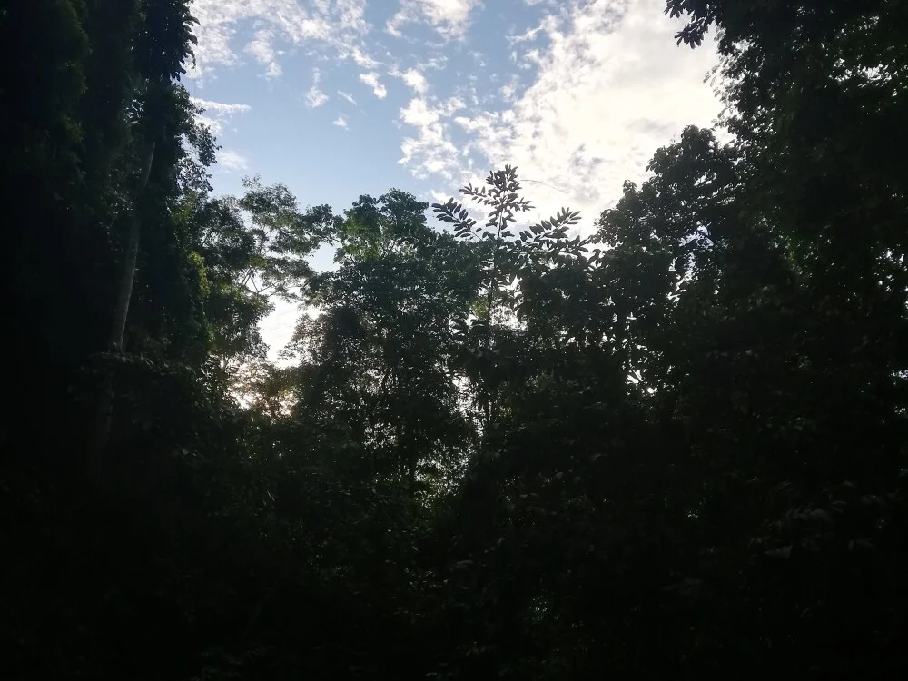 luis_zamora223 Chat XXX offline