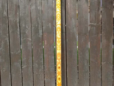 Cam boy bigcoconut333