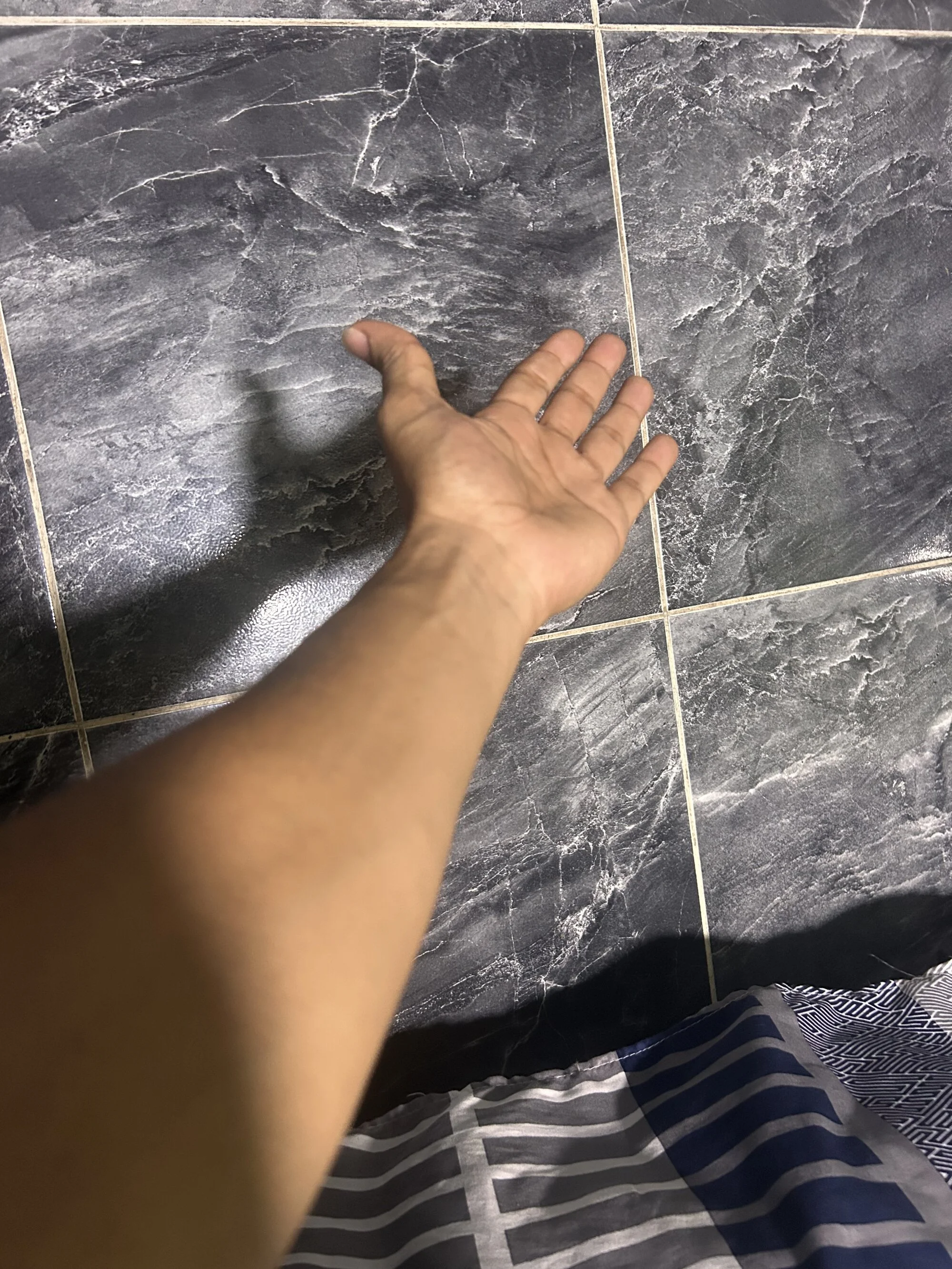 Dantte8
