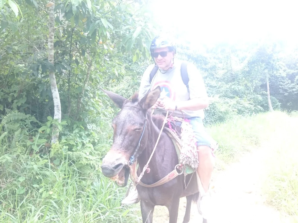 Mundo1970: συνομιλία ΧΧΧ εκτός σύνδεσης