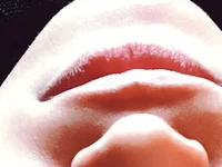 Fire_Ritikaa's Offline XXX Chat