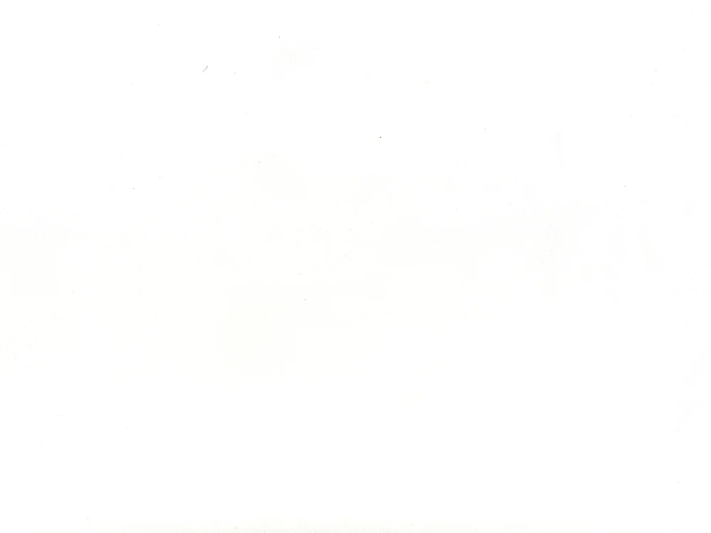 ivan_meow1111 cover photo