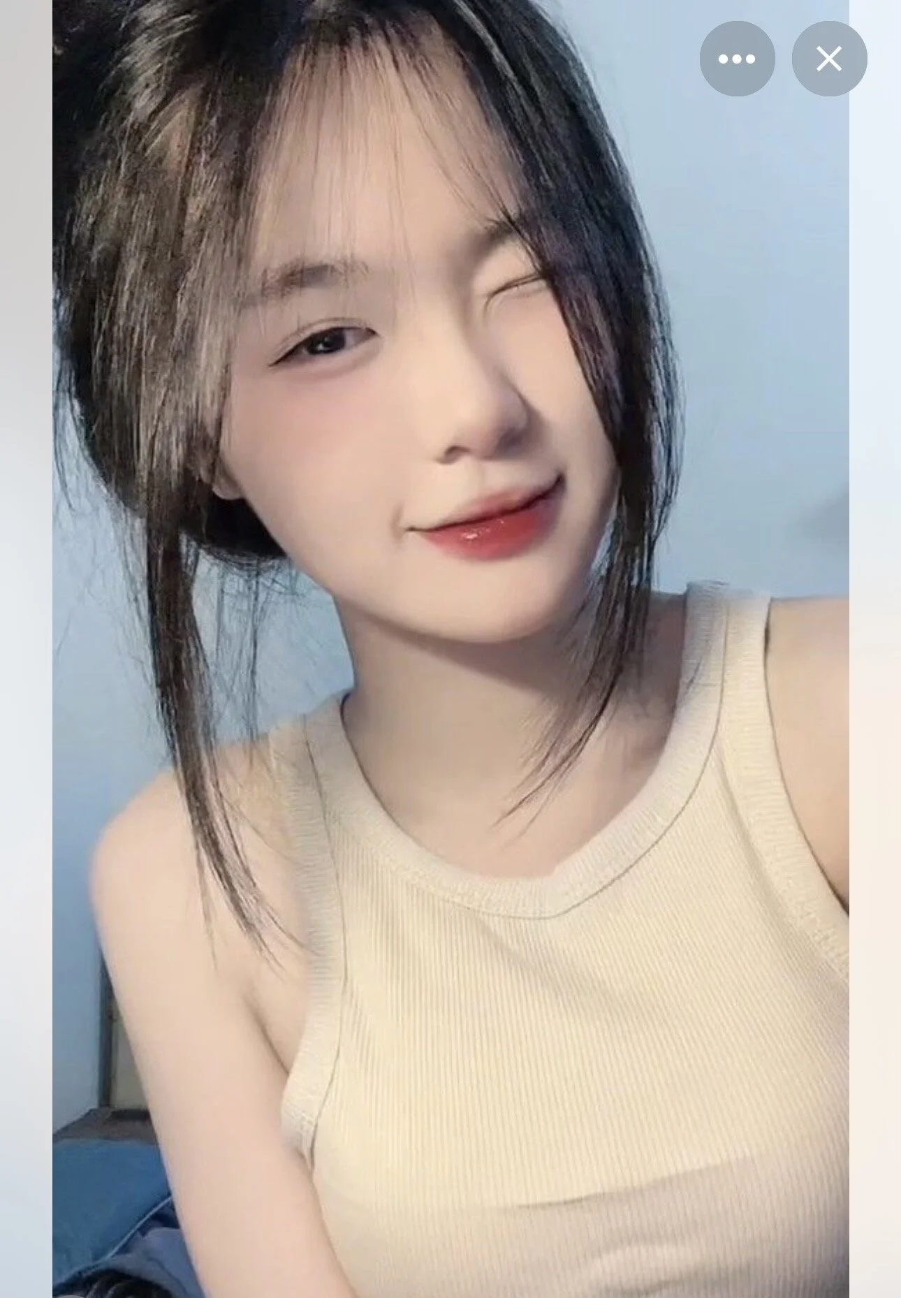 DressingEarldom live webcam