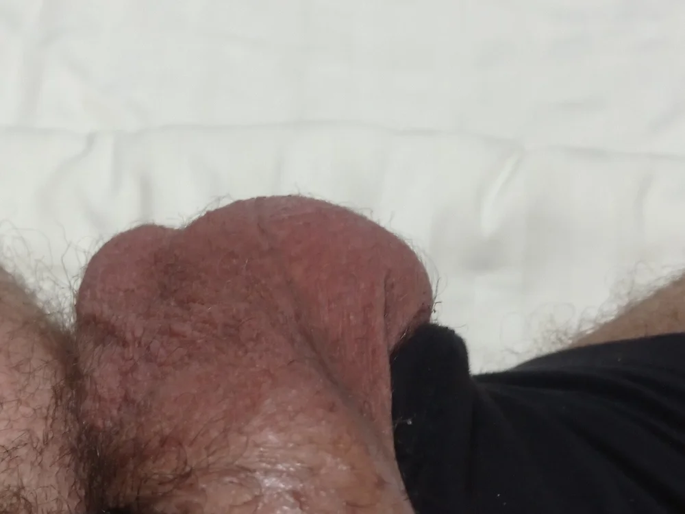 cover photo of dino301