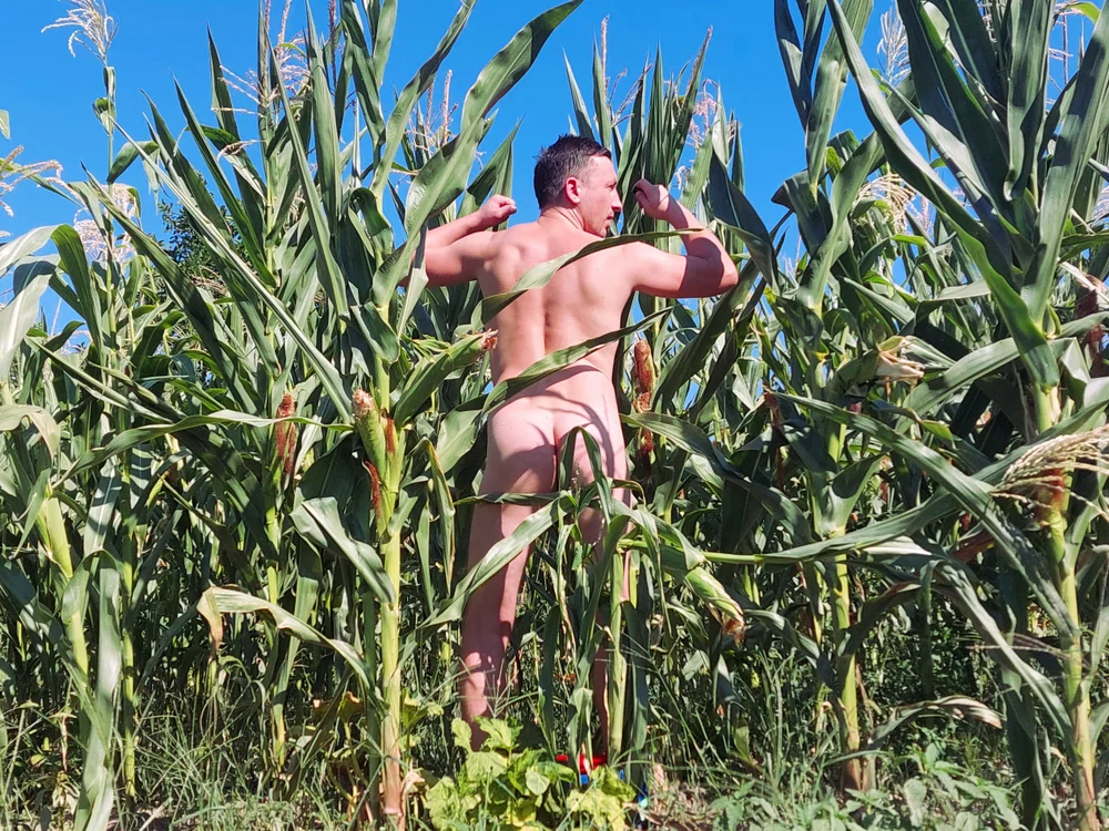 Sugarboypaul Offline XXX-Chat