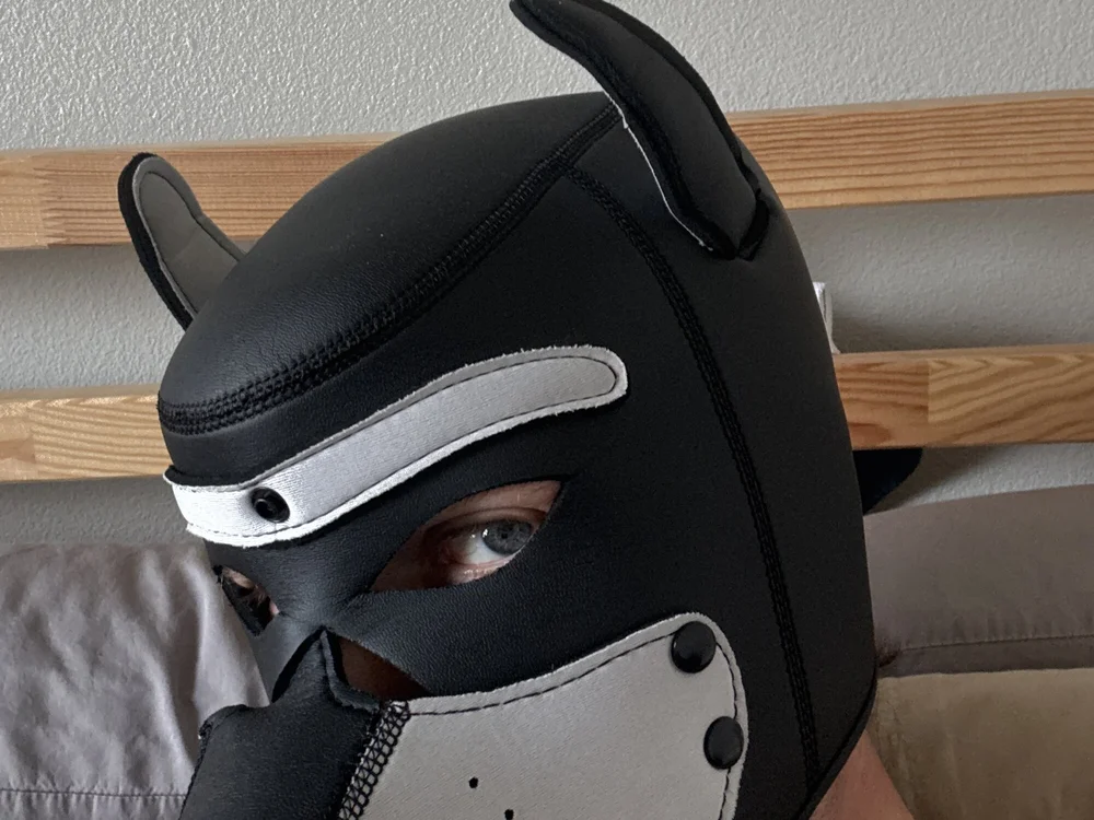 yntqrbd9bd's Offline XXX Chat