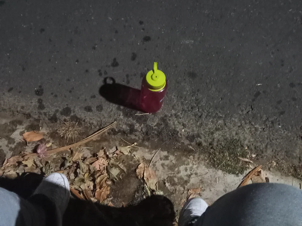 Chat XXX offline de Escondido09-3