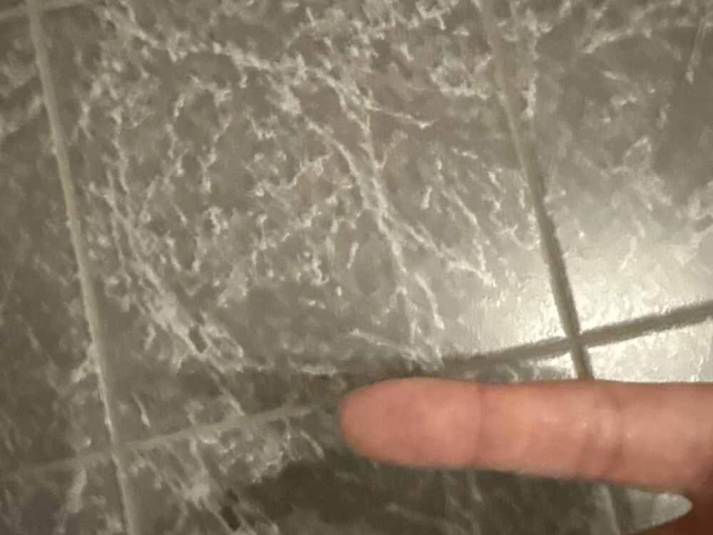 Chat +18 off-line de Horny_boy118