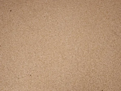 littlefrench profile