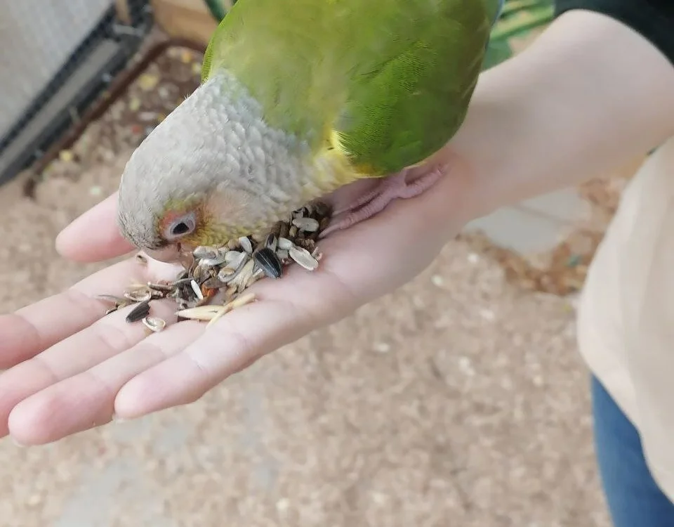 Offline XXX chat Ketrin_Jones