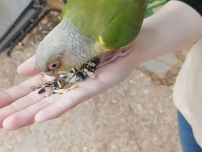 Ketrin_Jones profile