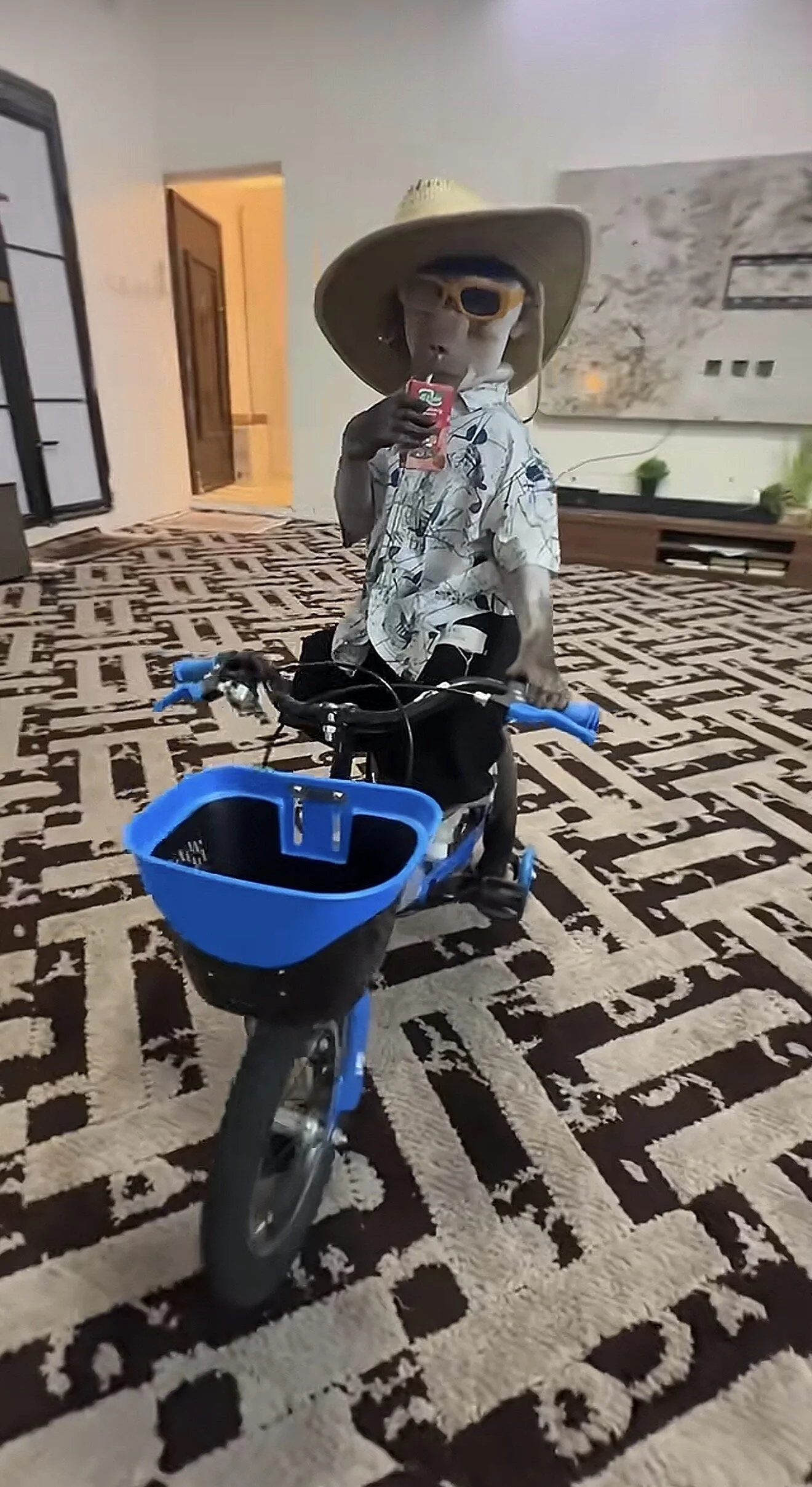 kleinerdude