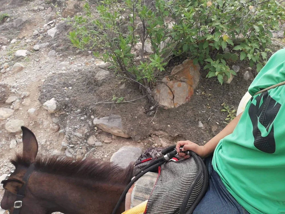 Alx347i 离线XXX聊天