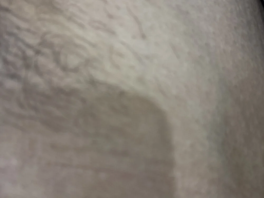 Saifq Chat XXX offline