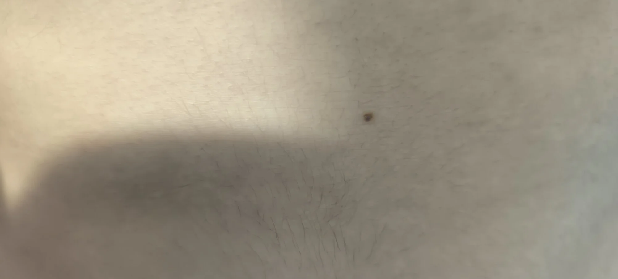 sirale3008 live webcam