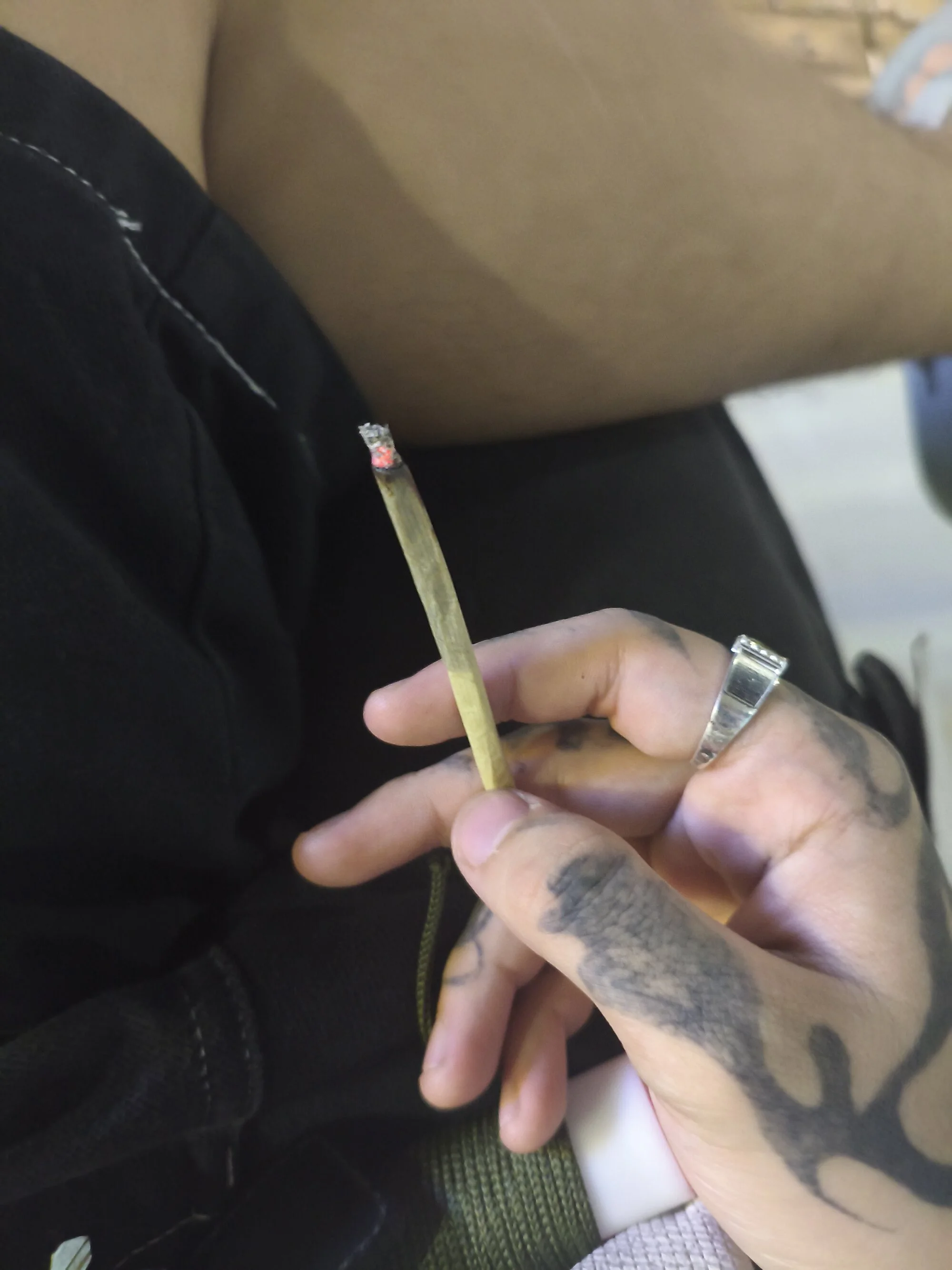 chicohomemtrans