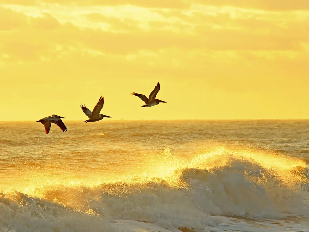 cover photo of mariofoti
