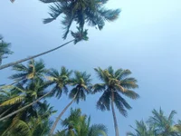 sanju_5418's webcam live show