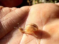 Kratos_Jerkoff's webcam live show