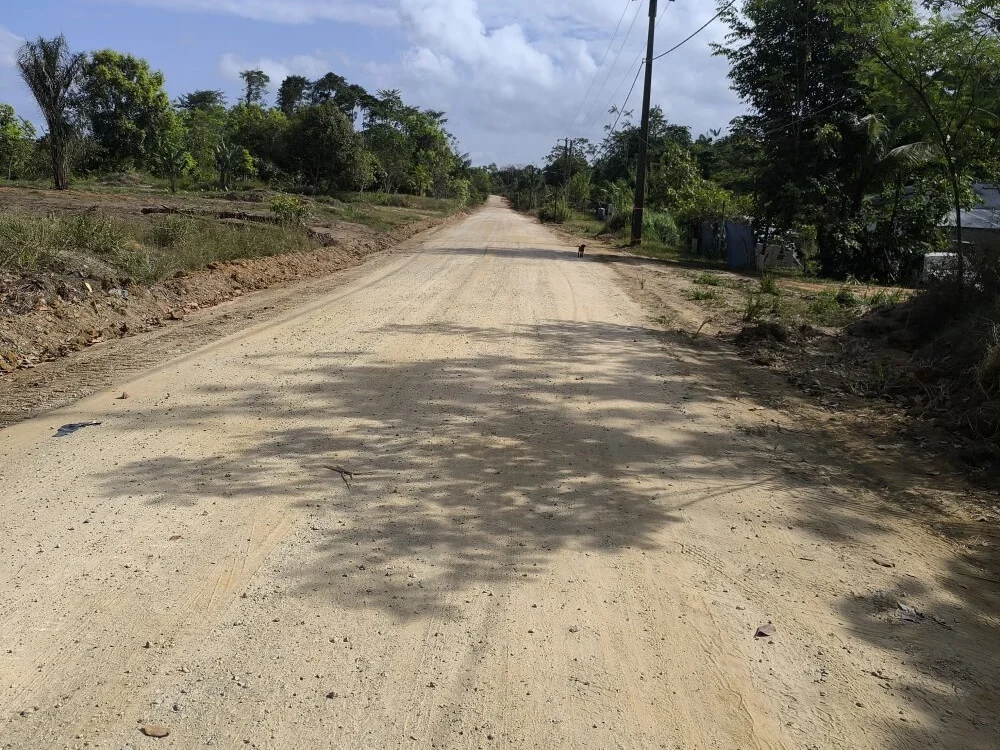 lookmidick899 Chat XXX offline