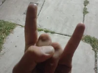 Smaxia's webcam live show