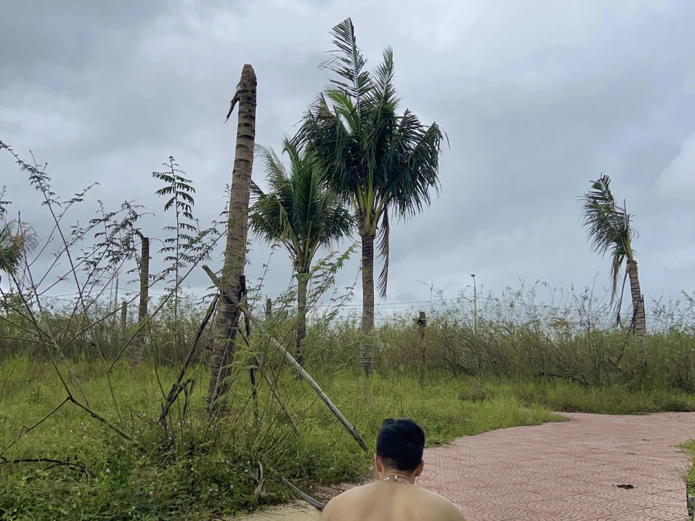 nitelust95model's Offline XXX Chat